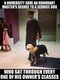 Dog degree.jpg