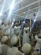 IMG-20140314-WA0026.jpg